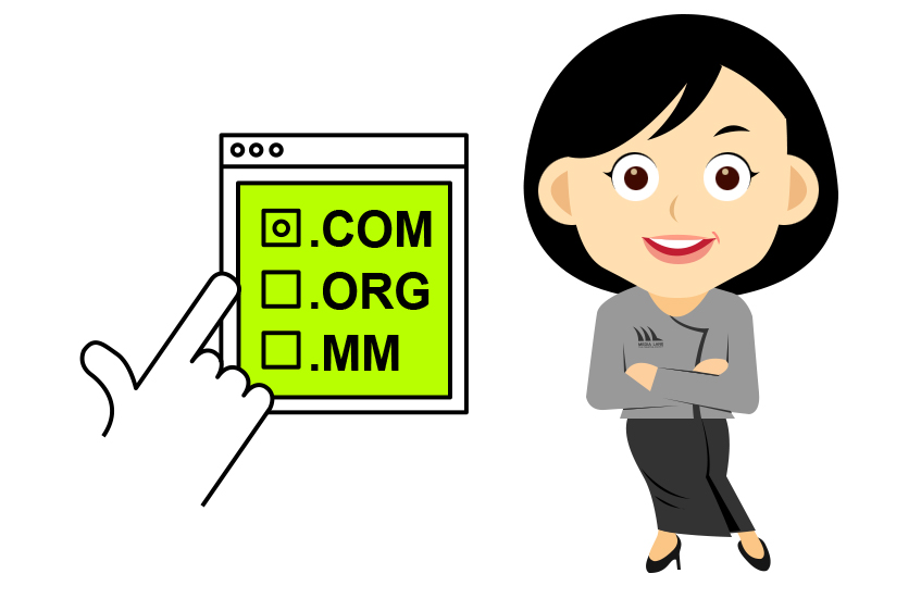 DOMAIN SERVICES